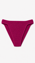 Briefs ayurveda
